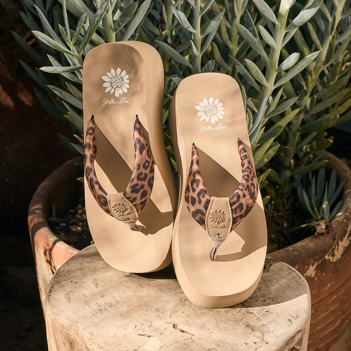 Beige wedge flip flops with leopard print straps displayed on wooden surface with plants in background