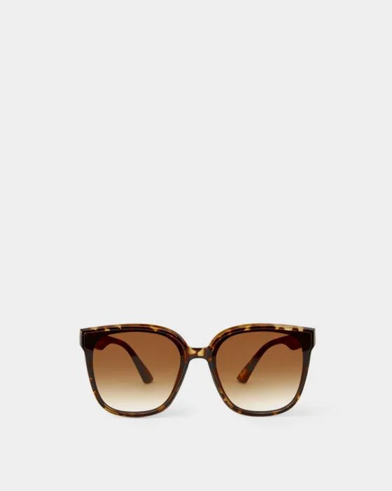 Tortoiseshell frame sunglasses with brown gradient lenses on light gray background